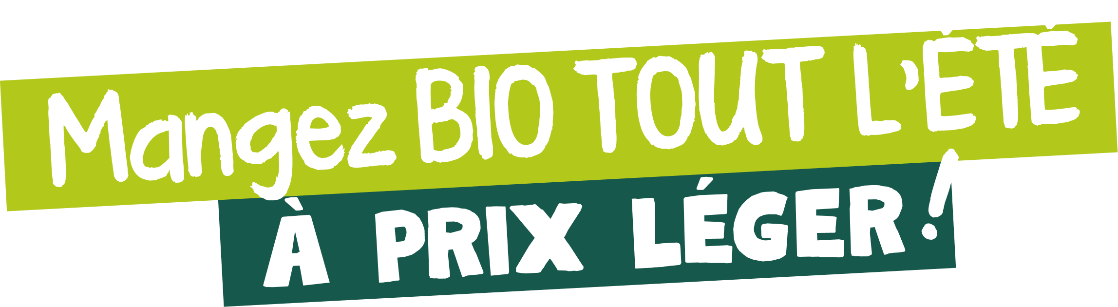 Mangez BIO TOUT  L’été